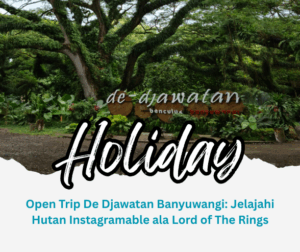 Open Trip De Djawatan Banyuwangi: Jelajahi Hutan Instagramable ala Lord of The Rings