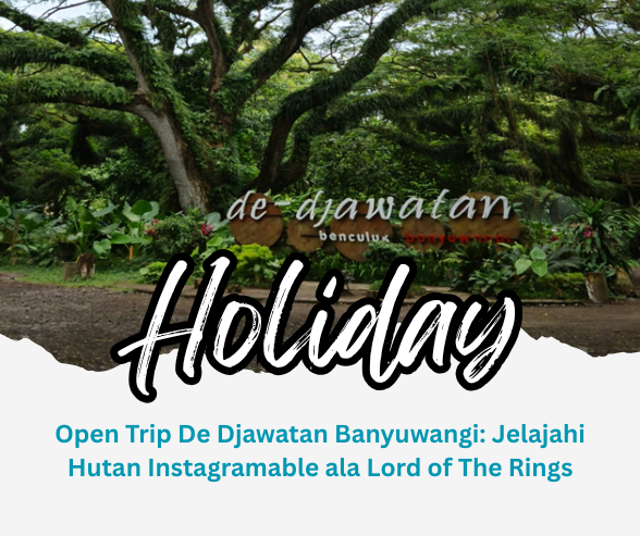 Open Trip De Djawatan Banyuwangi: Jelajahi Hutan Instagramable ala Lord of The Rings
